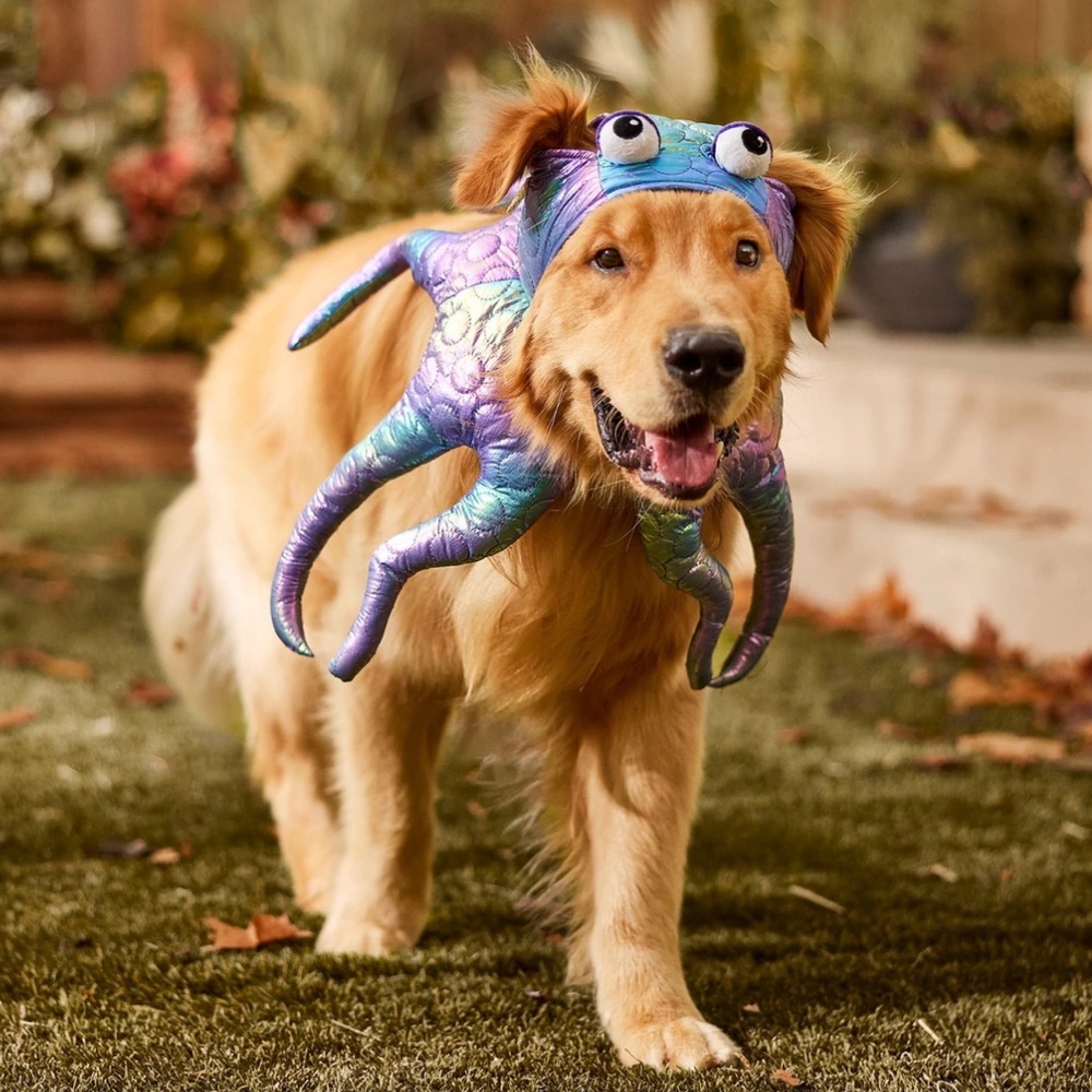 Frisco by Chewy Octopus Dog Costume, X-Large